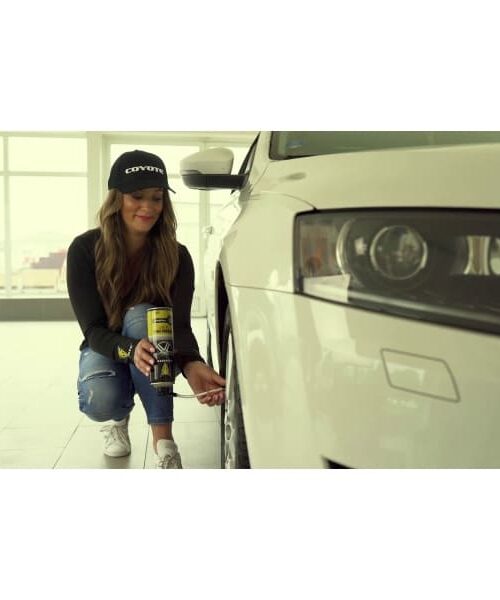 Alternative view of Coyote oprava pneu